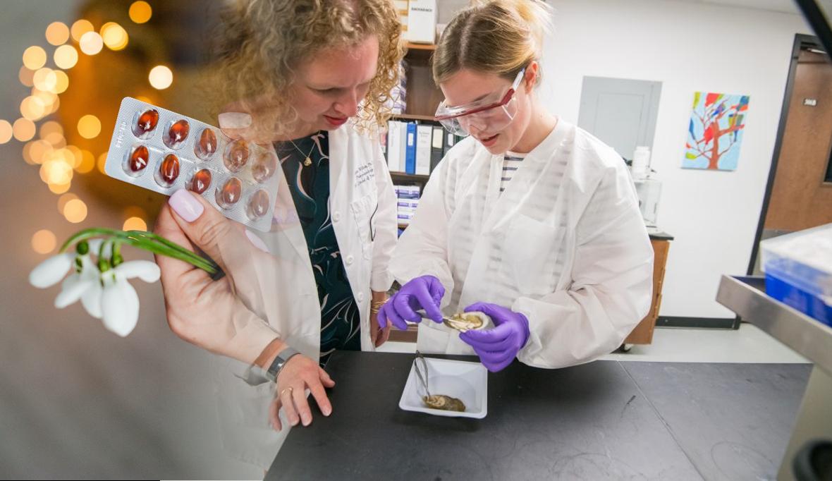 Petbucket Reviews For 2023